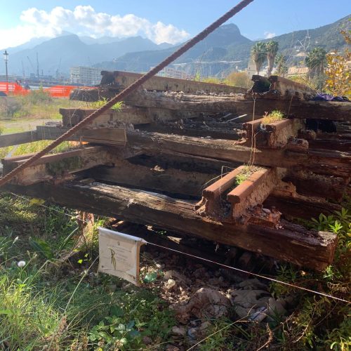 Piazza Cavour a Salerno, via i sigilli e nuovi veleni