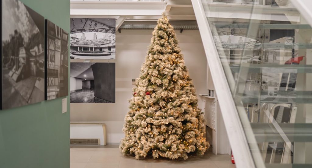 WhatsApp Image 2025-12-05 at 13.19.48 (1)