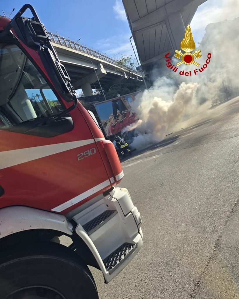 WhatsApp Image 2025-12-20 at 11.27.18