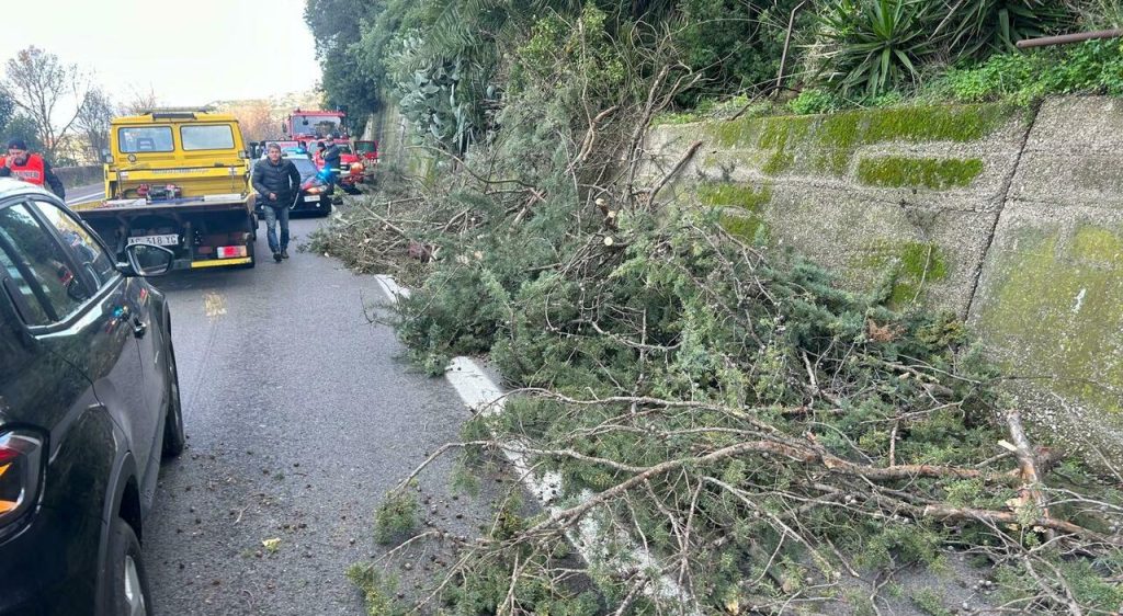 9291463_11102820_whatsapp_image_2026_01_11_at_10.24.51