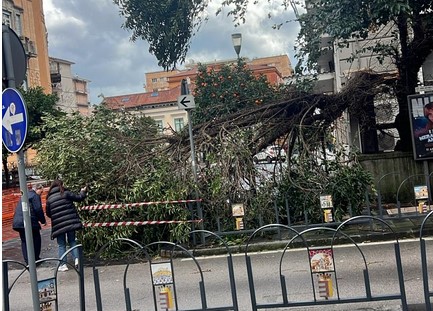 Cava de’ Tirreni, caduta alberi in centro per il forte vento