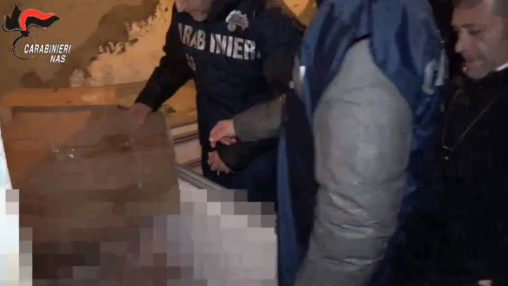 Macello clandestino in centro a Salerno, sequestri e sanzioni 