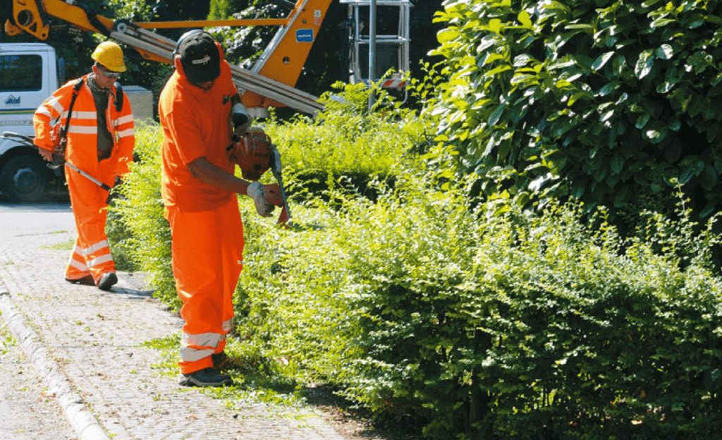Salerno, il processo coop: niente corruzione elettorale, assolto Savastano