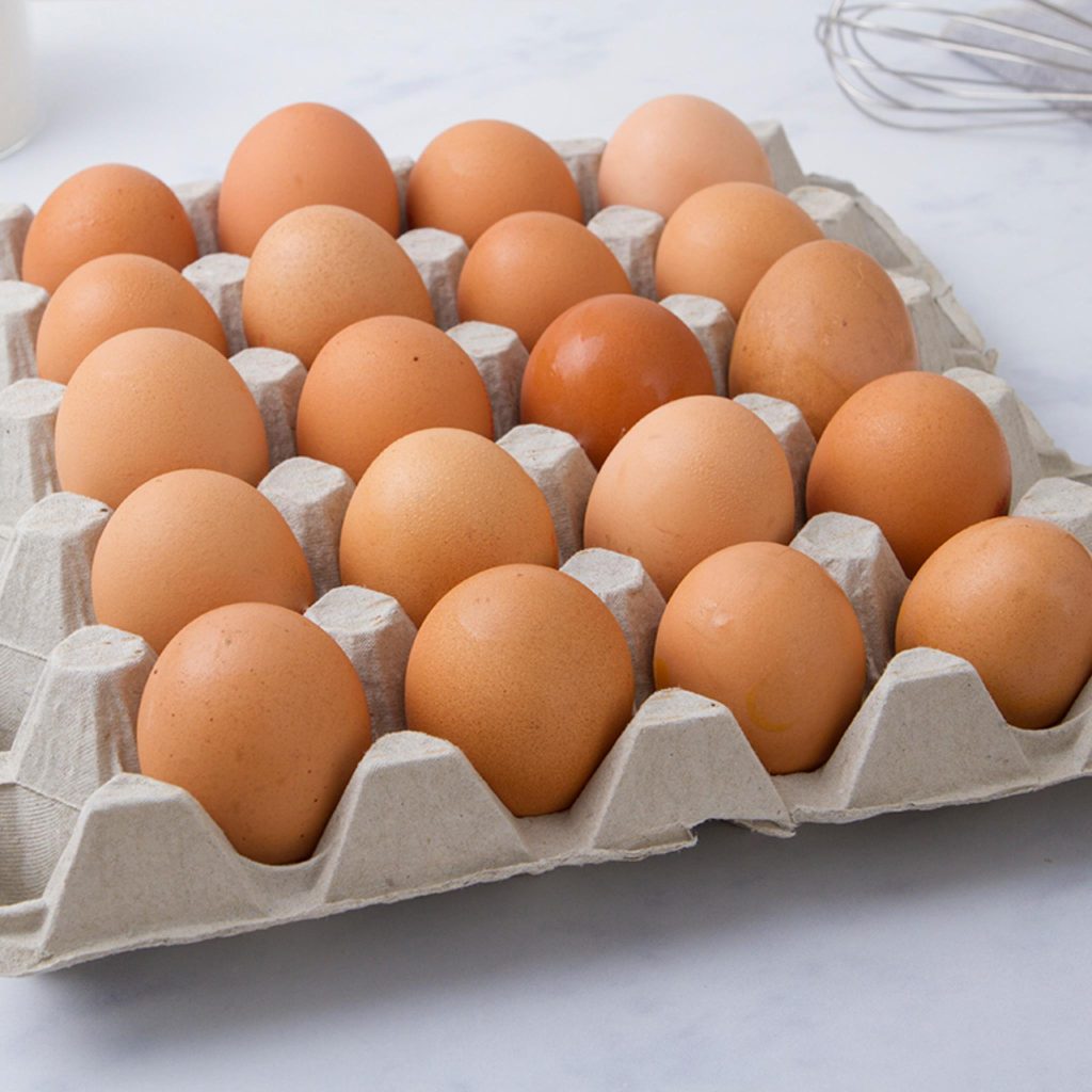 Salmonella, richiamate uova prodotte a Montecorvino Rovella