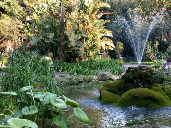 Salerno, terrore nella Villa comunale: bimba azzannata alla testa