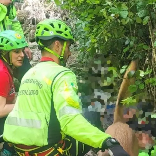 Baronissi, ritrovato il 72enne disperso da ieri pomeriggio