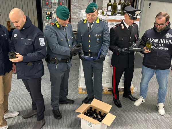 7_2026_02_12_20260212_000934