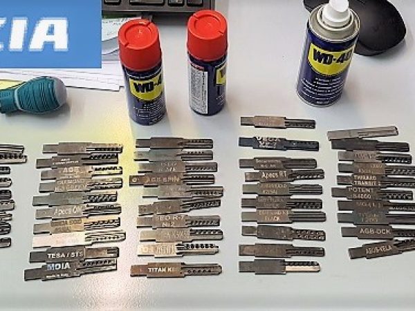 Foto arresto georgiani chiavi furti appartamenti 2