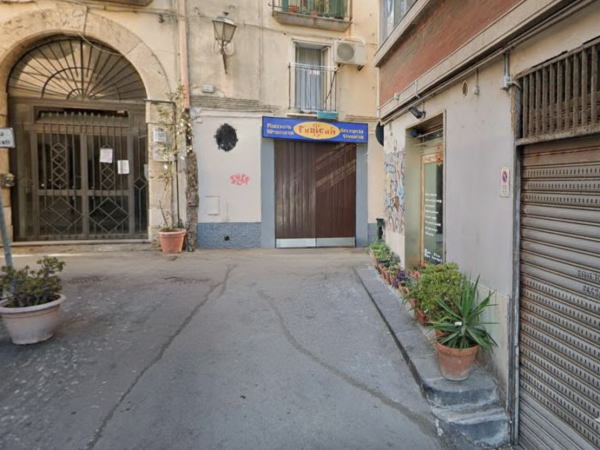 Gemini_Generated_Image_x2798ix2798ix279