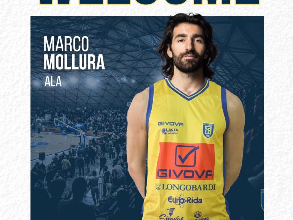 Grafica Marco Mollura