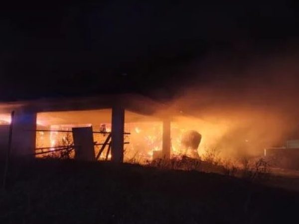 Immagine 2025-12-24 105950