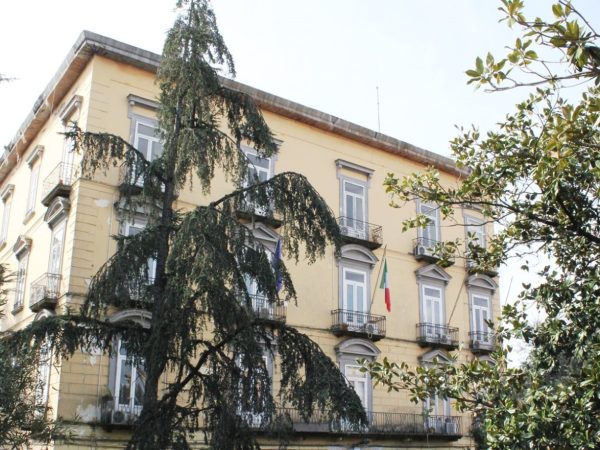 WhatsApp Image 2025-10-29 at 19.48.34