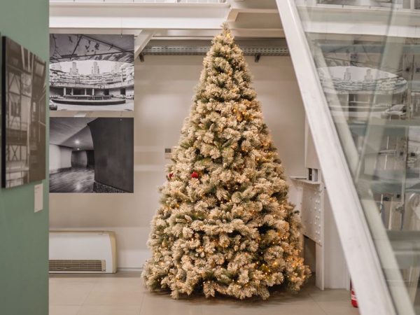 WhatsApp Image 2025-12-05 at 13.19.48 (1)