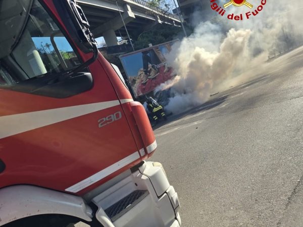 WhatsApp Image 2025-12-20 at 11.27.18