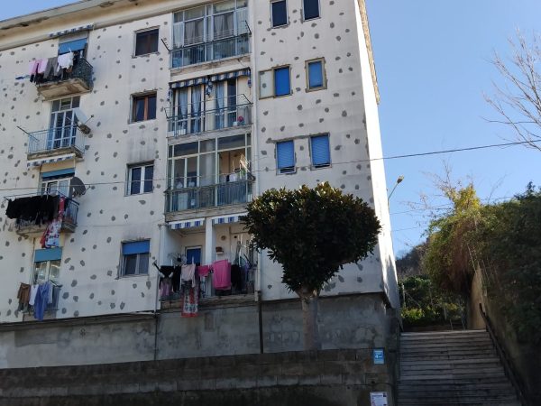 WhatsApp Image 2026-01-08 at 19.13.45