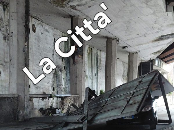 WhatsApp Image 2026-02-06 at 14.42.01