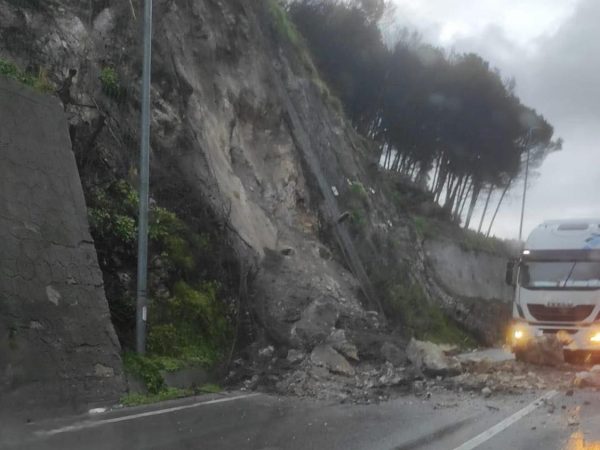 WhatsApp Image 2026-02-12 at 09.23.22