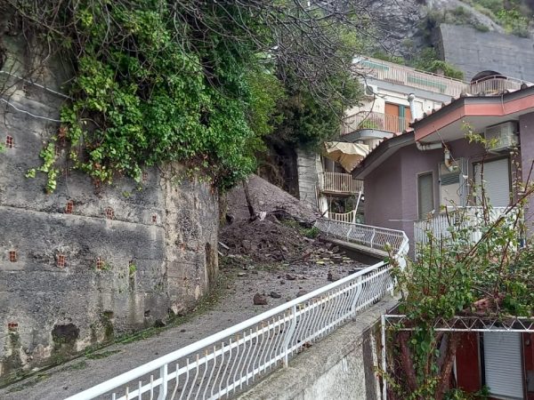 WhatsApp Image 2026-02-12 at 16.27.44