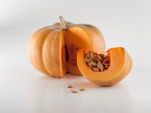 ZUCCA