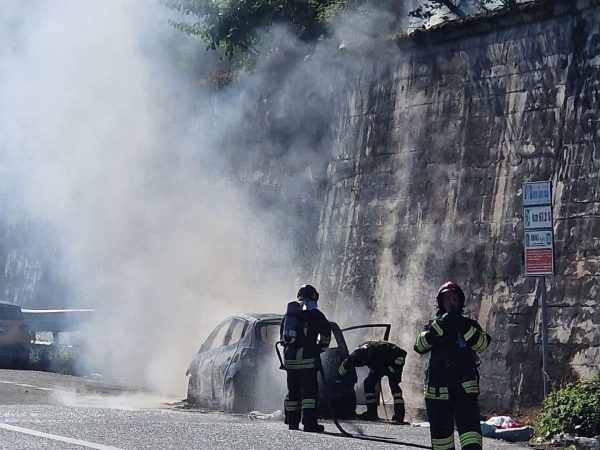 autopetina