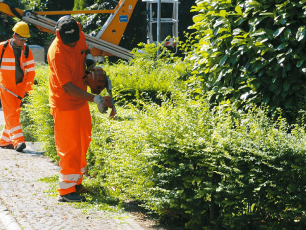 manutenzione-verde-salerno-1024x624