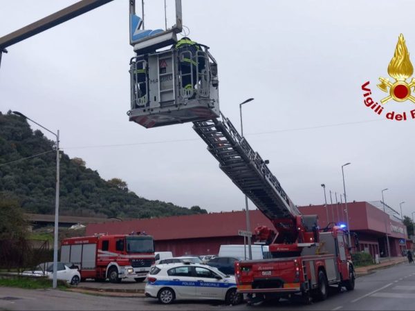 photo_2026-01-25_15-00-48