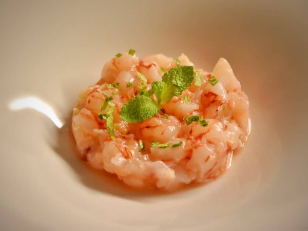 tartare-di-gambero-rosso-gin-lemongrass-zenzero-menta-6 tartare-di-gambero-rosso-gin-lemongrass-zenzero-menta-6