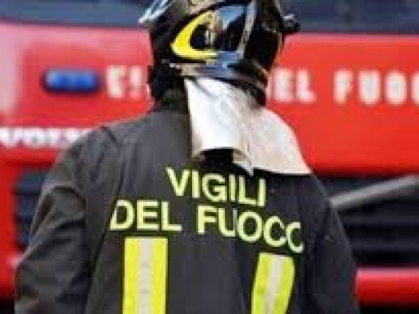 vigili